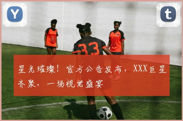 星光璀璨！官方公告发布，XXX巨星齐聚，一场视觉盛宴